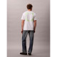 Calvin Klein Ανδρική κοντομάνικη μπλούζα Circle Graphic Relaxed T-Shirt